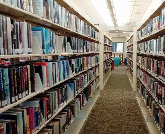 Z Tczewa na przygodę - Dominika Połom opowie o życiu w kamperze