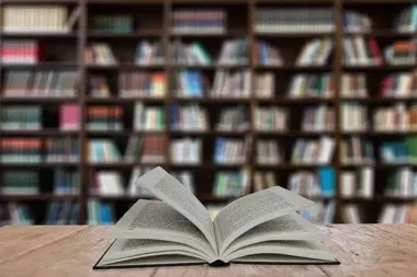 Na Czyżykowie znów zrobiło się kolorowo - kwiaty wróciły przed bibliotekę