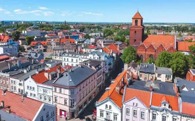 Rośliny też mają swoje zmysły. SOWA szykuje rodzinne warsztaty