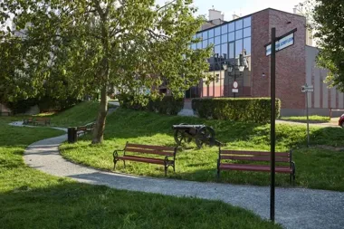 Tczew zbiera głosy o klimacie. Ankieta potrwa tylko 10 minut