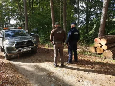 W lasach pod Pelplinem sprawdzali śmieci, drewno i przypadki ASF