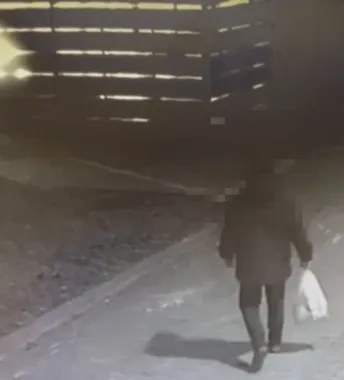 Trzy wiaty spłonęły w Tczewie - za podpalenia odpowie 15-latek